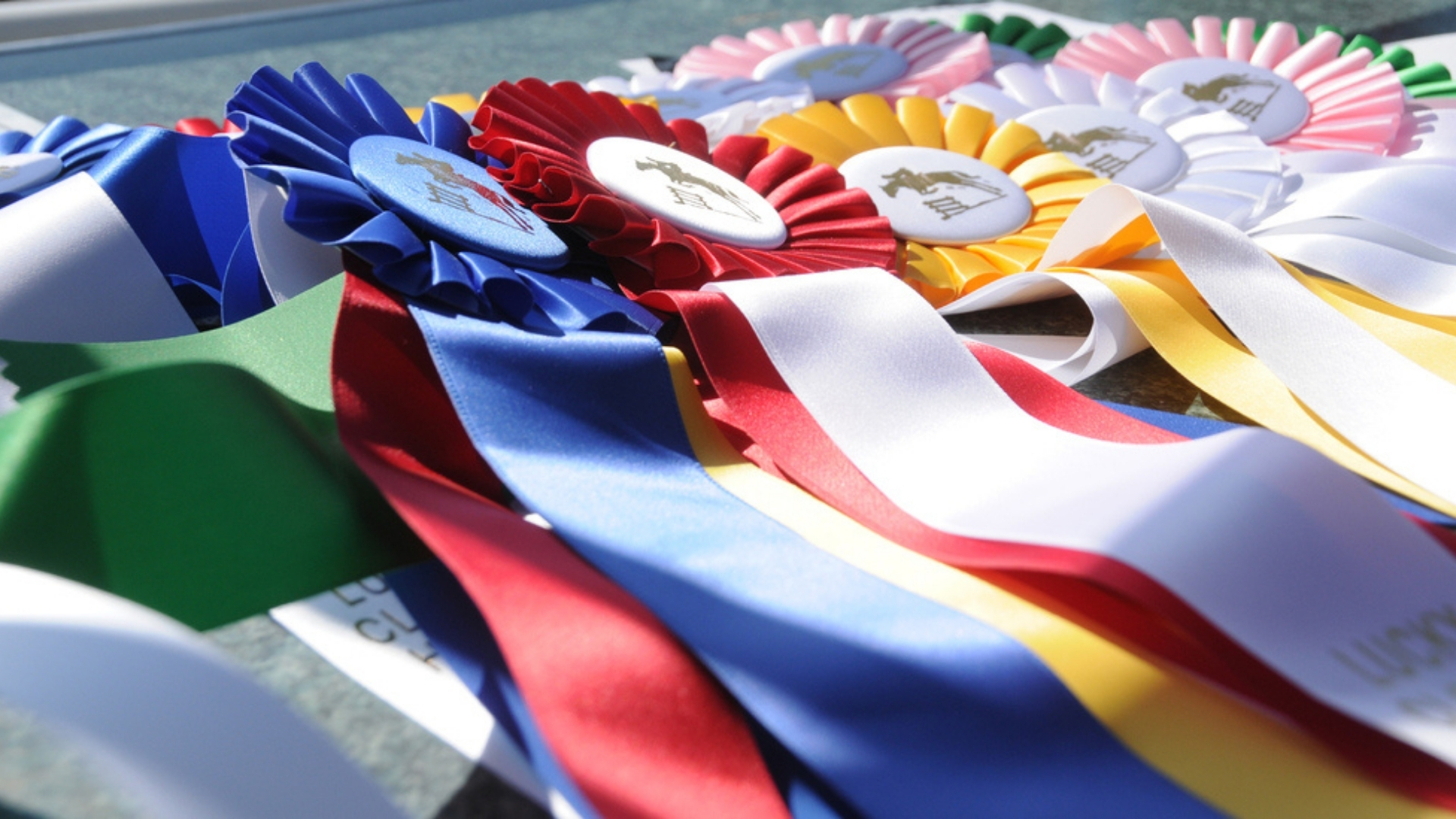 Oklahoma Kansas Welsh Pony Society Competition Visit Claremore