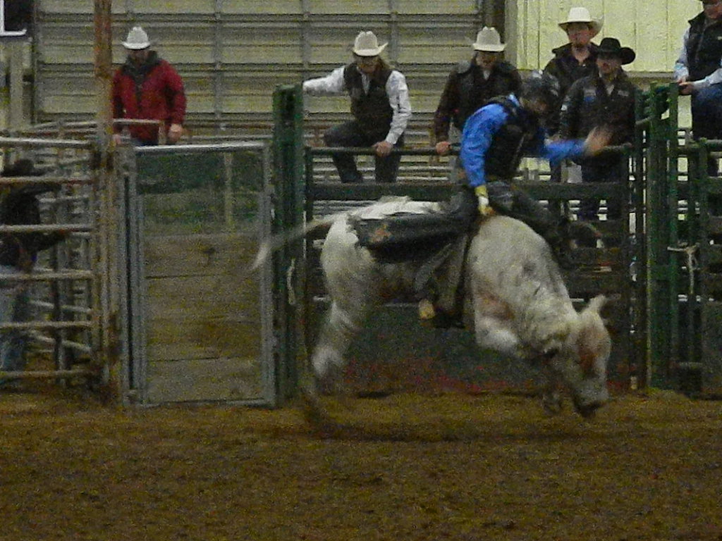 New Year's Eve Bull Riding Visit Claremore